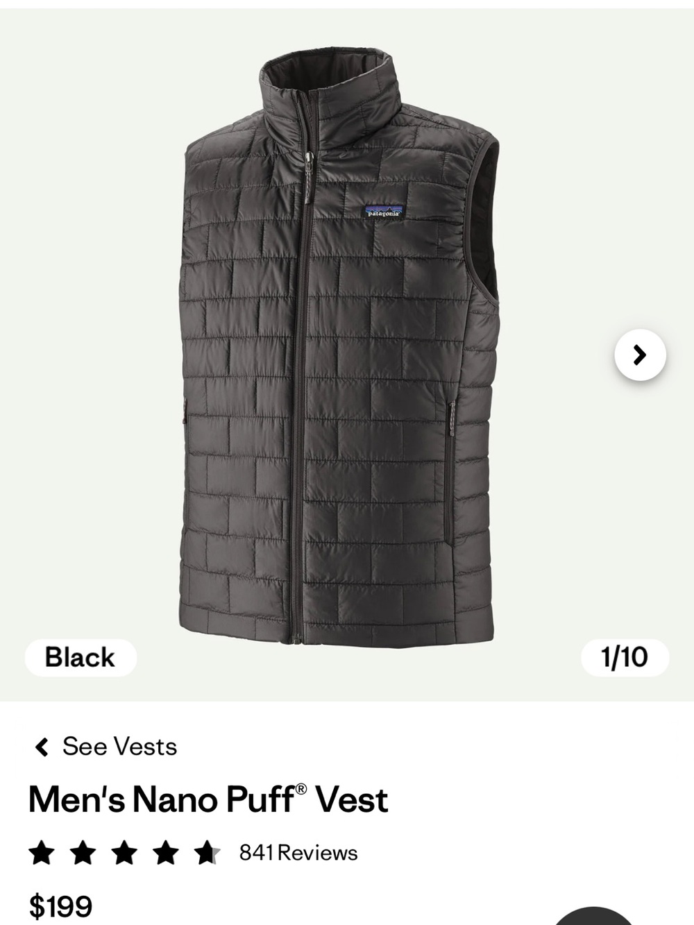 Patagonia Men's Quilted Puff Vest - Black